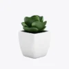 product-image-9_optimized Augue Neque